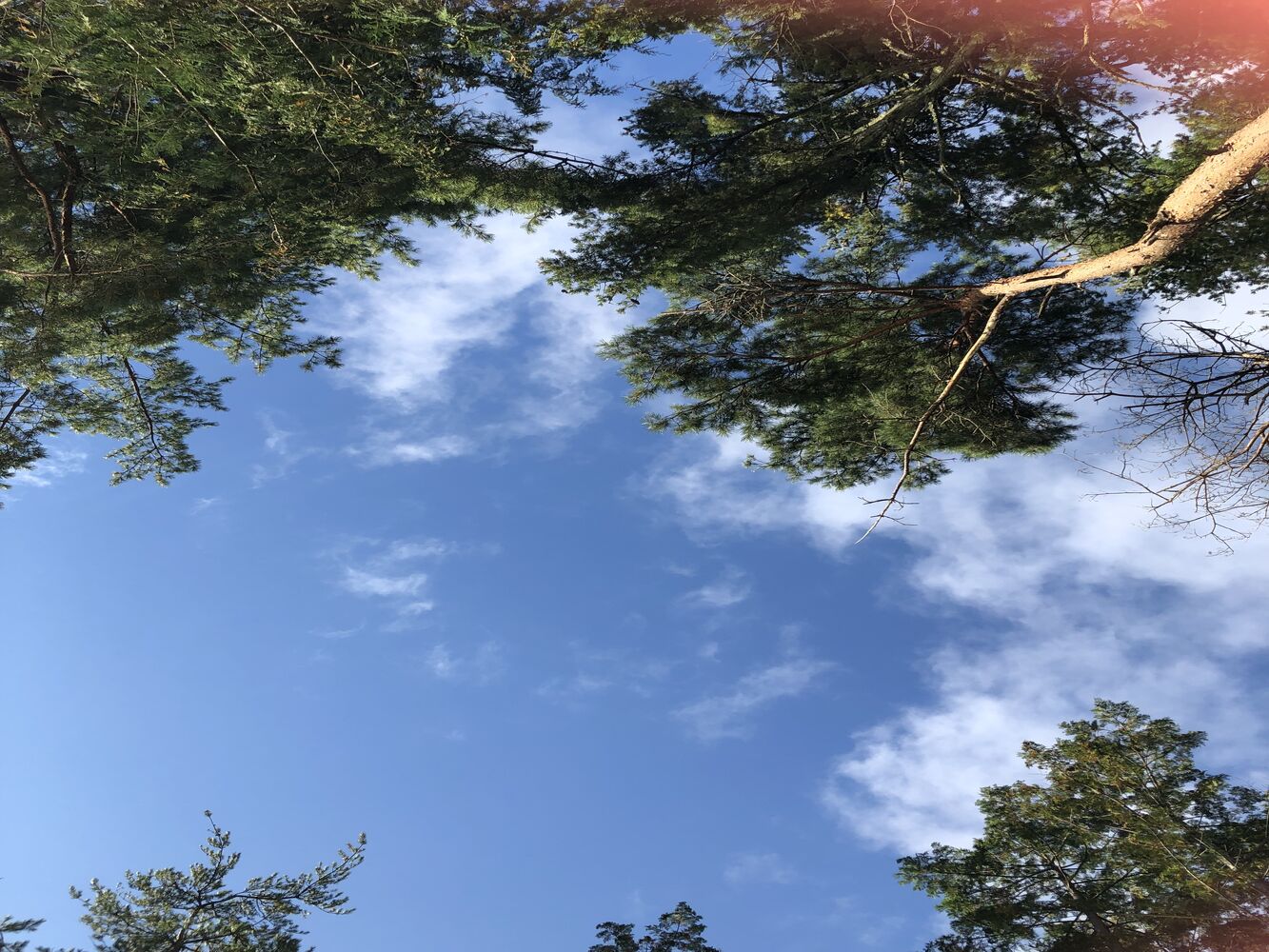 画像4834